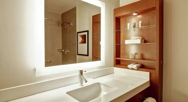 Двухместный номер Deluxe Hilton Mississauga/Meadowvale