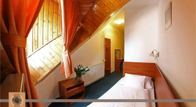 Номер Standard Hotel Főnix