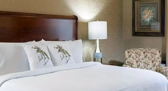 Номер Superior Grand Gateway Hotel