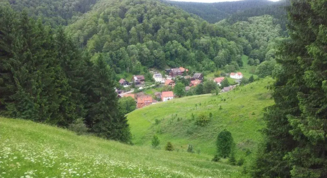 Апартаменты Sleep in Lerbach