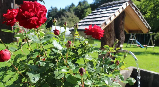 Pension Gerstenbrand, Varaa Hotelli Fischbachau German Alps