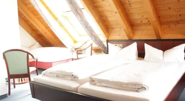 Трёхместный номер Standard Hotel Waldhorn
