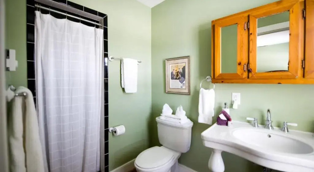 Номер Deluxe Hopkins Ordinary Bed, Breakfast and Ale Works