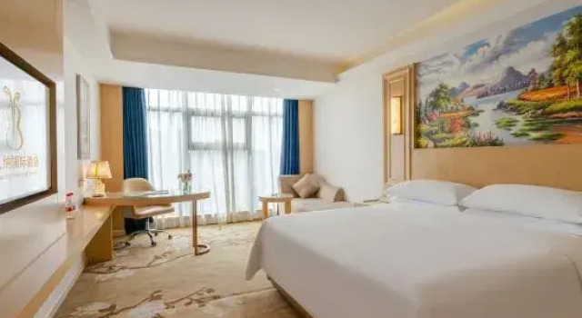 Люкс Deluxe Vienna International Hotel Chongqing Yuanyangyuanboyuan