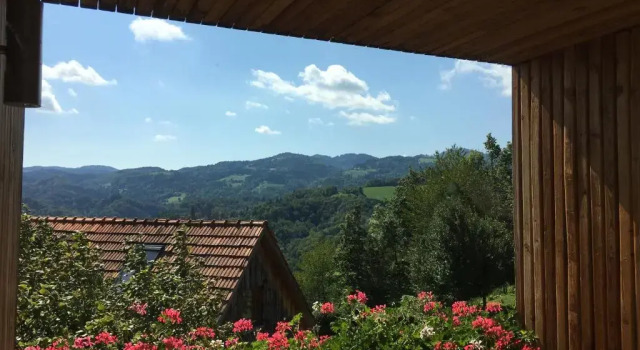 Апартаменты Bio-Weingut Leitner