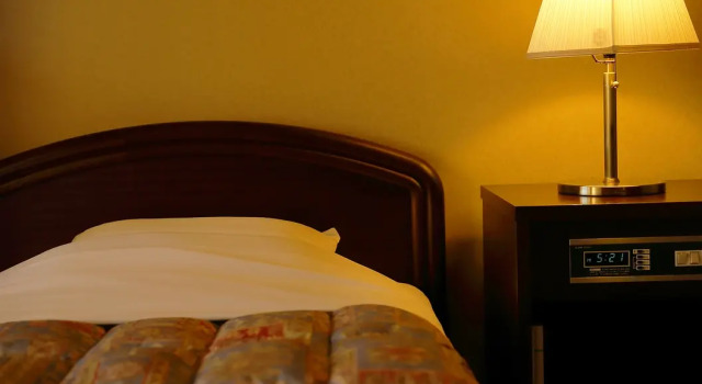 Двухместный номер Standard Mikuma Hotel