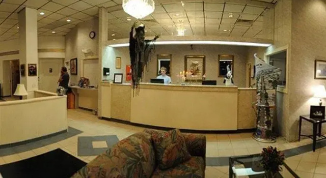 The Flamingo Resort - Adult Resort, Book Resort St. Petersburg Pinellas County