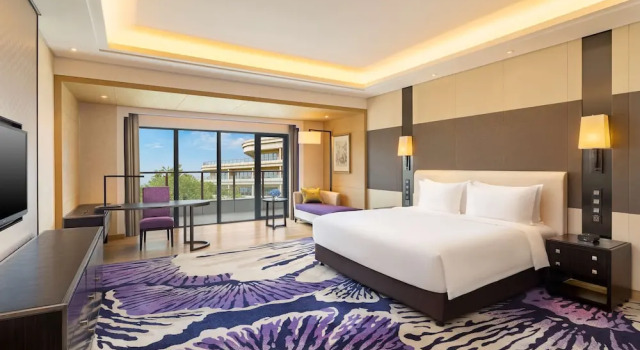 Номер Deluxe с балконом Radisson Blu Hotel Wuhan ETD Zone