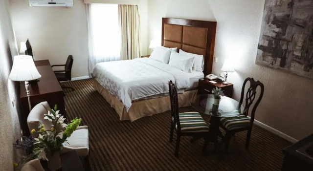 Double suite junior Holiday Inn Durango, an IHG Hotel