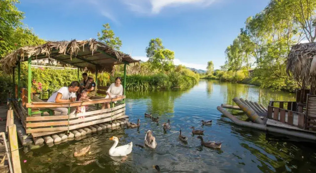 Двухместный номер Deluxe Promisedland Resort & Lagoon