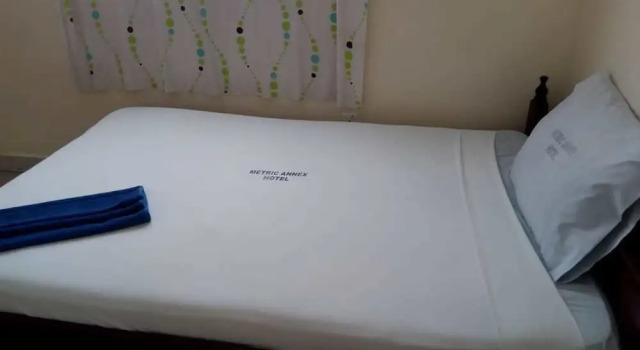 Номер Economy Metric Annex Hotel