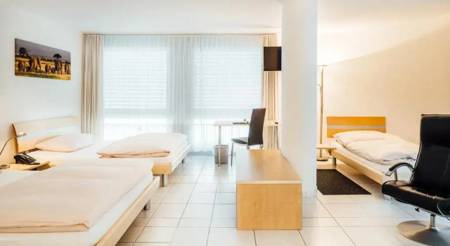 Полулюкс flexymotel Buchs