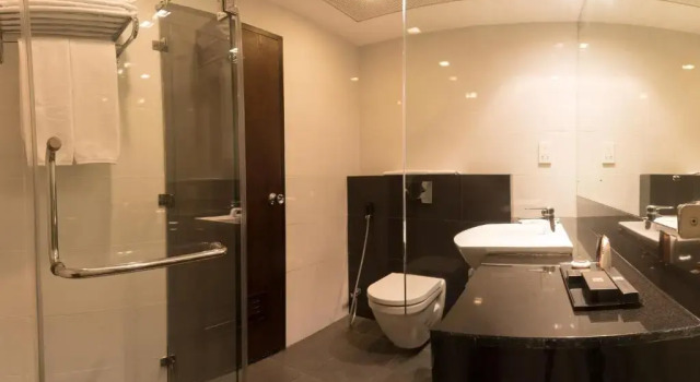 Двухместный номер Standard Renuka City Hotel