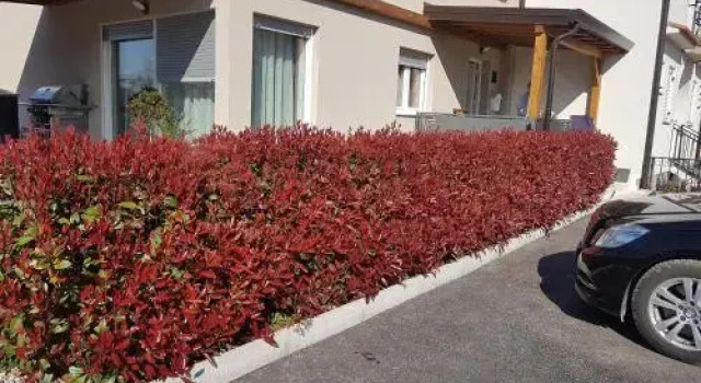 Zagar Apartment
