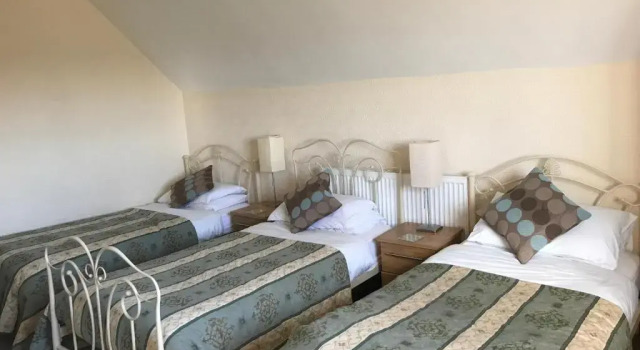 Трёхместный номер Standard Holly Tree Guest House
