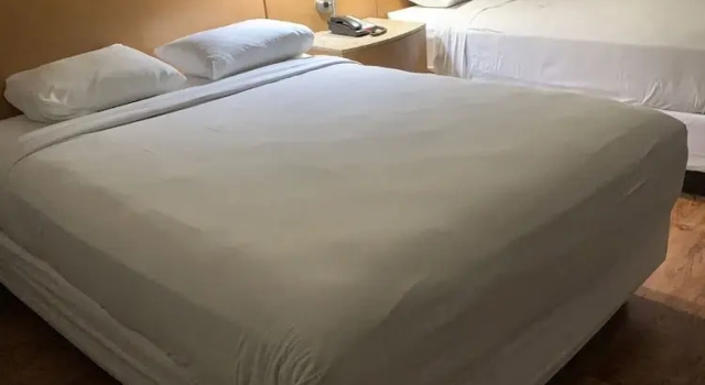 Двухместный номер Standard Motel 6 Savannah GA Gateway & I95