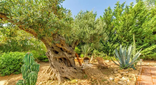 Villa Blandina, Réserver Villa Menfi Sicile