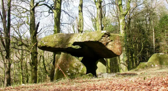 Writing Shed Wales, Забронировать Отель СПА-отели Carmarthenshire, SPA-услуги