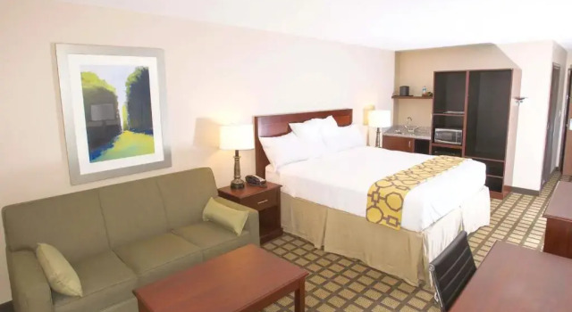 1 soveværelse i standard- dobbelt værelse Quality Inn & Suites Big Spring