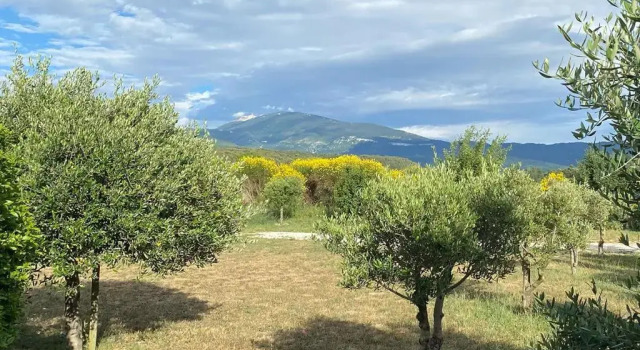 Коттедж Maison de charme avec vue sur le Mont Ventoux