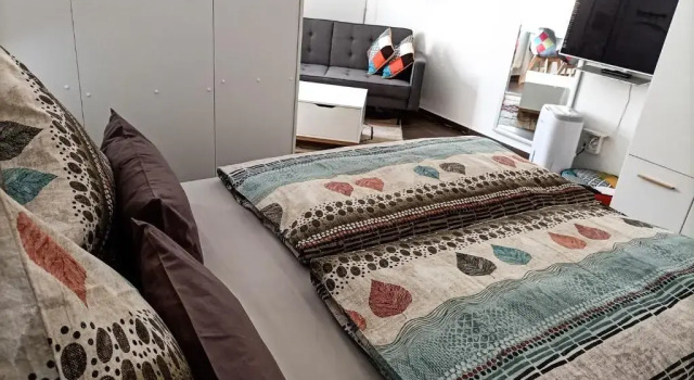 Апартаменты c 1 комнатой BodenSEE Apartment Neuhaldenstrasse