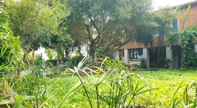 Семейный номер Standard с видом на сад Tuyets Homestay