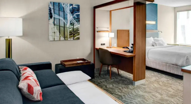 Люкс SpringHill Suites by Marriott Kansas City Lenexa/City Center