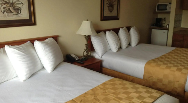 Best Inn & Suites