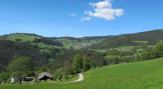 Шале Gasserhof Chalets
