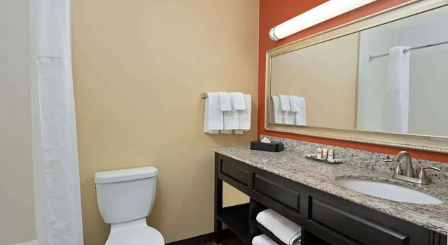 Четырёхместный номер Standard с видом на бассейн Spark by Hilton Tucson Reid Park
