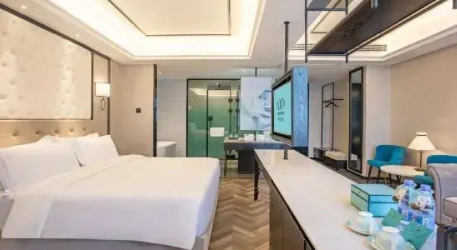 Люкс Business Xana Hotelle Hotel (Xinyu High-Speed Railway Station Zijincheng)
