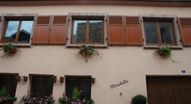 Appartement Mirabelle avec Jardin - Centre Ribeauvillé, Book Lejlighed Lejligheder i Alsace, Lejlighed