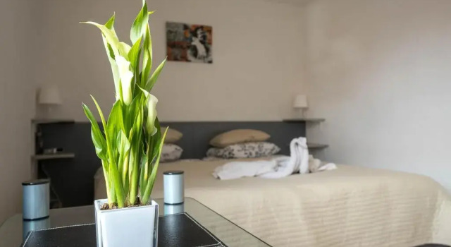 Двухместный номер Standard Apart Hotel Het Veerse Meer