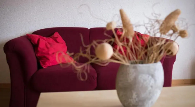 Апартаменты Haus Nova am Bollerberg