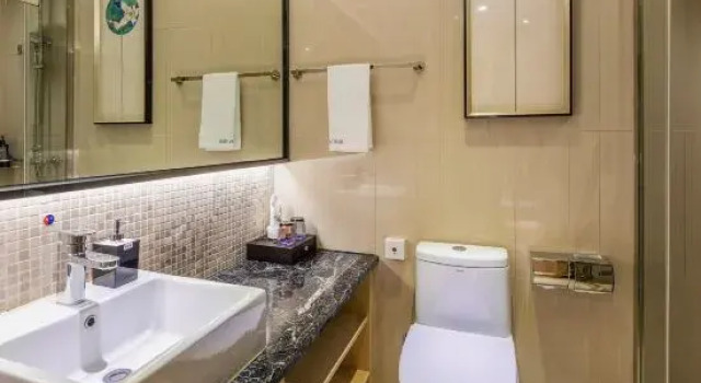Двухместный люкс Business Baixing Rezen Hotel