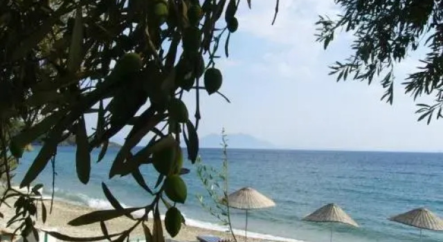 Ege Pansiyon, Rezervovat Hotel Wellness hotely v Mugla, SPA