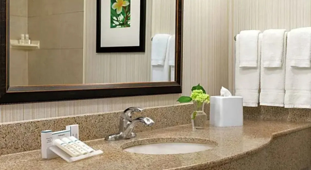 Двухместный люкс Hilton Garden Inn Saskatoon Downtown