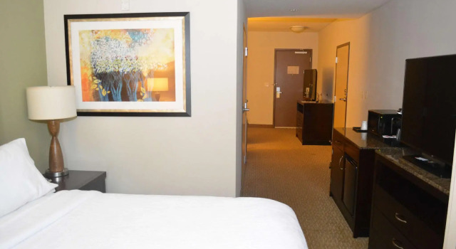 Двухместный полулюкс Hilton Garden Inn Houston-Pearland