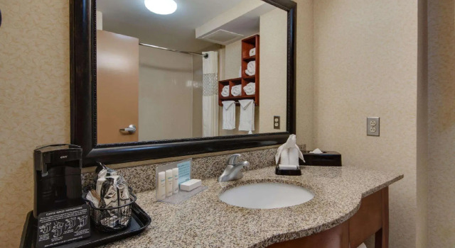 Двухместный номер Standard Hampton Inn & Suites Las Cruces I-25