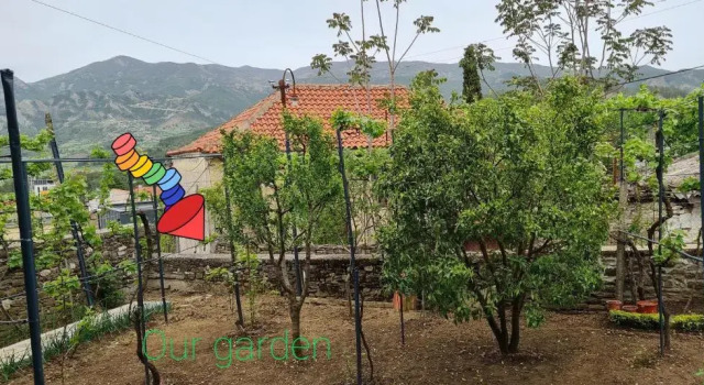 Трёхместный номер Standard с видом на сад Garden Guest House