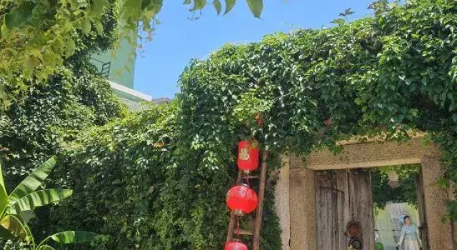 Dongshan Old Courtyard Homestay, Book Hotel Zhangzhou Fujian