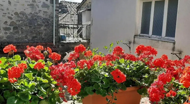 Коттедж Beautiful 2-bed House in Longoio, Bagni Di Lucca