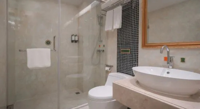 Люкс Deluxe Vienna Classic Hotel (Shanghai Linhai Road)