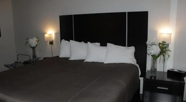 Люкс Ramada Plaza by Wyndham Niagara Falls