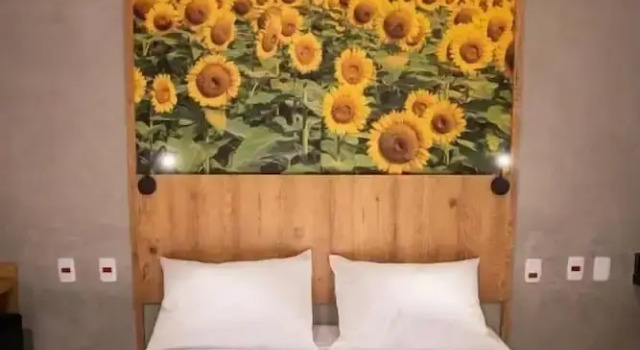 Двухместный номер Standard с балконом Campos De Holambra Inn