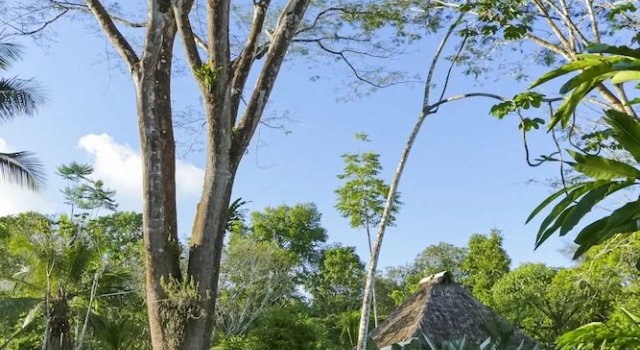 Бунгало Deluxe Casa Drake Lodge