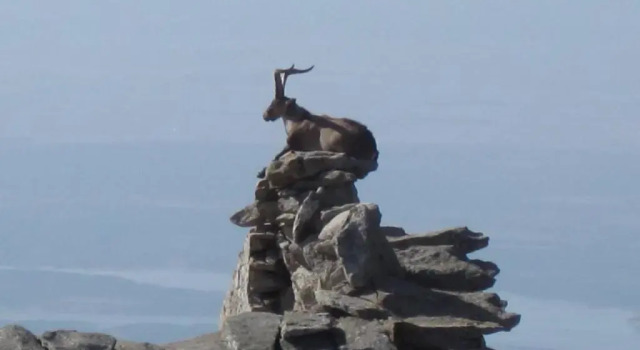 Коттедж La Pasailla de Gredos