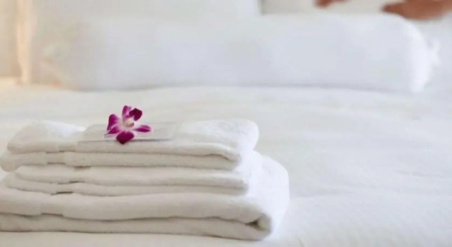 Одноместный номер Standard Super 6 Inn & Suites Baton Rouge