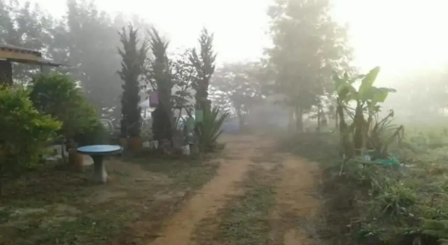 Pooarbdao 2