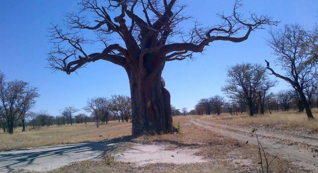 Lesoma Valley Lodge, Varaa Hotelli Lesoma Northwest District